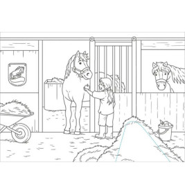 Schnipp Schnapp Malbuch. Pferde. Was steckt dahinter?