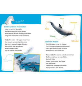 WAS IST WAS Erstes Lesen. Leserätsel Wale und Delfine