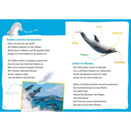 WAS IST WAS Erstes Lesen. Leserätsel Wale und Delfine