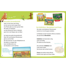 WAS IST WAS Erstes Lesen. Leserätsel Pferde und Ponys