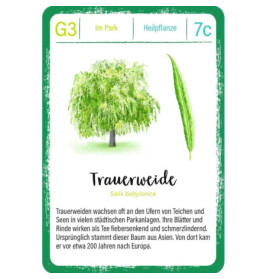 Expedition Natur Quartett Bäume