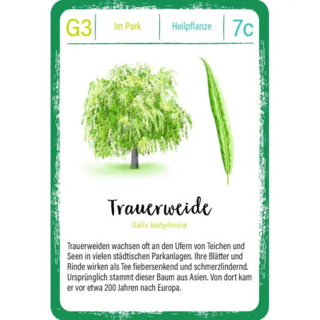 Expedition Natur Quartett Bäume