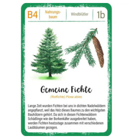 Expedition Natur Quartett Bäume