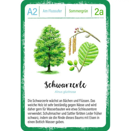 Expedition Natur Quartett Bäume