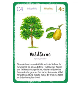 Expedition Natur Quartett Bäume