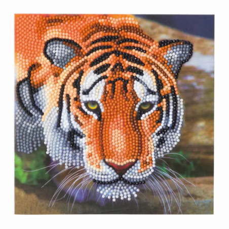 Crystal Art Tiger 18x18cm