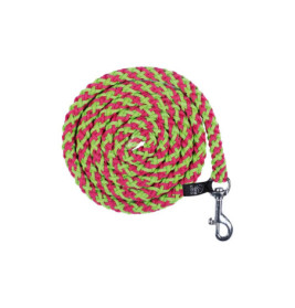 Rosa-grüne, geflochtene Leine mit Metallclip, spiralig gelegt auf weißem Hintergrund.