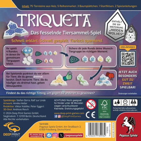 Triqueta Big Box (Deep Print Games)