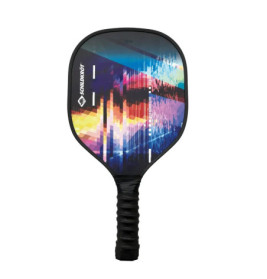 Schildkröt Pickleball Set