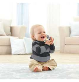 Fisher-Price Lernspaß Smartphone Musiklernspielzeug für Babys, grau, deutsche Version