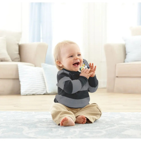 Fisher-Price Lernspaß Smartphone Musiklernspielzeug für Babys, grau, deutsche Version