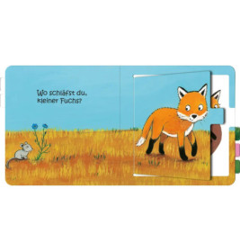 Wo schläfst du, kleine Eule?