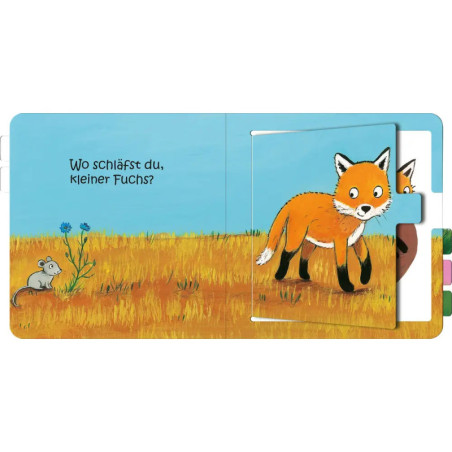 Wo schläfst du, kleine Eule?