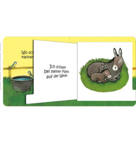 Wo schläfst du, kleine Eule?