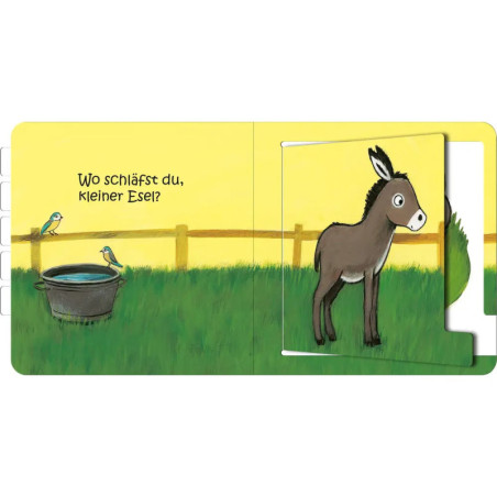 Wo schläfst du, kleine Eule?