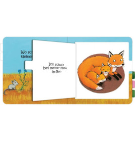 Wo schläfst du, kleine Eule?