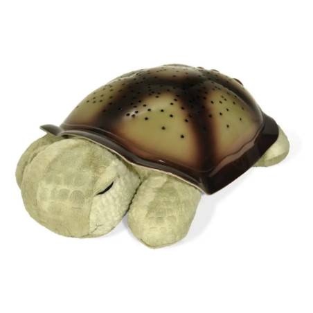 Twilight Turtle classic