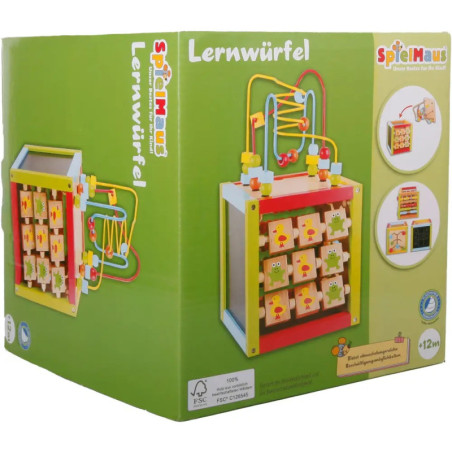 Grüne SpielMaus Lernwürfel-Box mit Abbildungen eines Holz-Aktivitätswürfels für Kinder ab 12 Monaten.