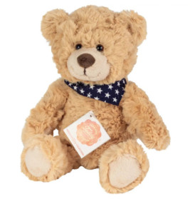 Ein flauschiger brauner Teddybär mit blauem Halstuch mit Sternenmuster und Namensschild am Hals.