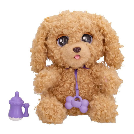 Babies Paws Love & Care Labradoodle