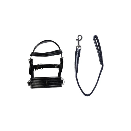 Longierset -Cuddle Pony-schwarz