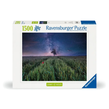 Schachtel eines 1500-Teile Ravensburger Puzzles mit Sternenhimmel über einem Grasfeld.