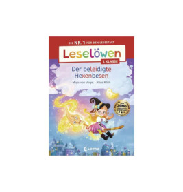 Buntes Buchcover: Junge Hexe fliegt mit Katze auf Besen, Titel auf Deutsch.
