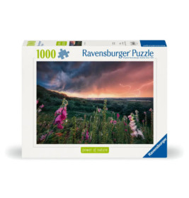 Ravensburger 12000793 Puzzle Ein Sturm zieht auf 1000 Teile