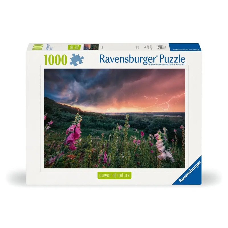 Ravensburger 12000793 Puzzle Ein Sturm zieht auf 1000 Teile