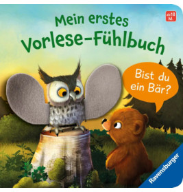 Eule und Bärenjunges auf Buchcover mit deutschem Text, Filzstruktur am Flügel der Eule.