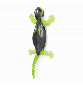 Hexbots Wall Crawler Gecko RC (Wandkriechender Gecko)
