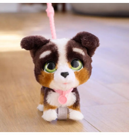 Ein Plüschhund mit großen grünen Augen an der Leine steht auf einem Holzboden.