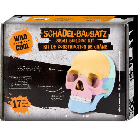Schädel-Bausatz - Wild+Cool