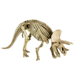 Ausgrabungsset Triceratops - T-Rex World