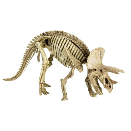 Ausgrabungsset Triceratops - T-Rex World
