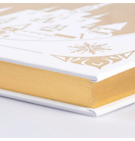 Disney: Das große goldene Buch der Eiskönigin-Geschichten