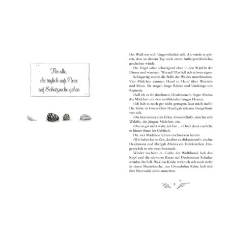 Ein Mädchen namens Willow 5 Schattenzeit