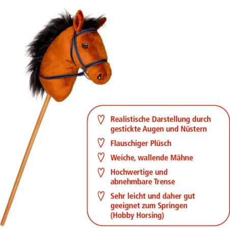 Steckenpferd Dusty - Pferdefreunde
