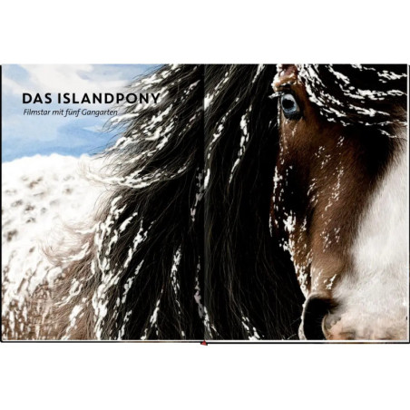 Lebensgross - Pferde aus  aller Welt