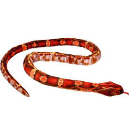 Kornnatter - Natur Zoom Wild