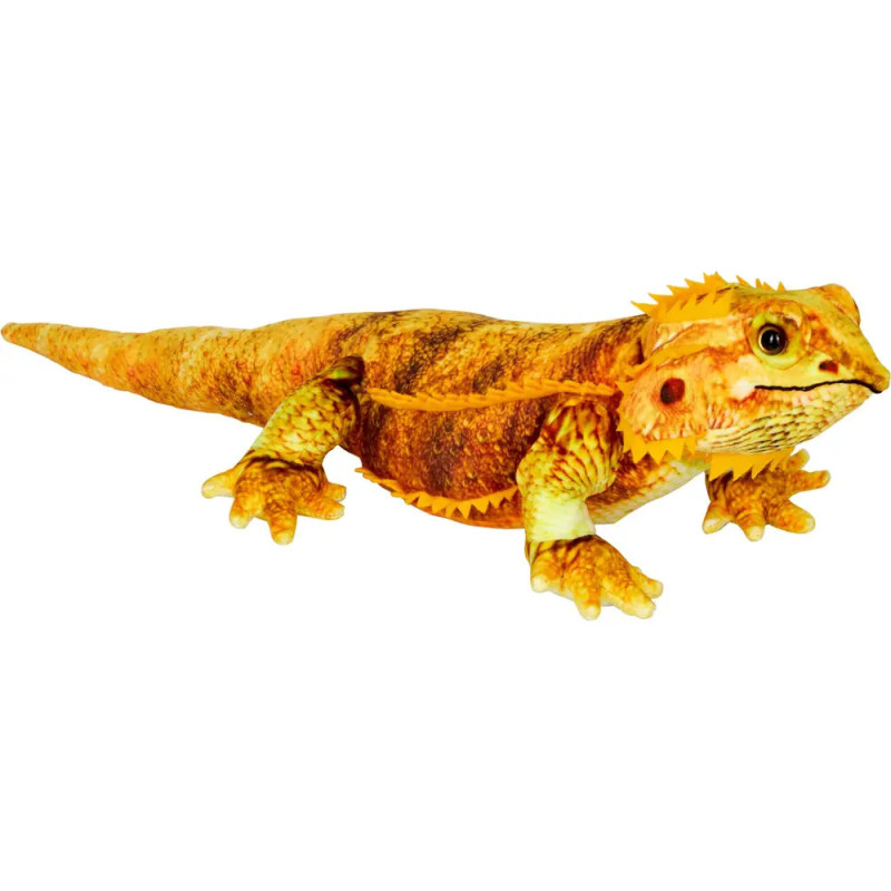 Bartagame - Nature Zoom Wild Bartagame - Nature Zoom Wild