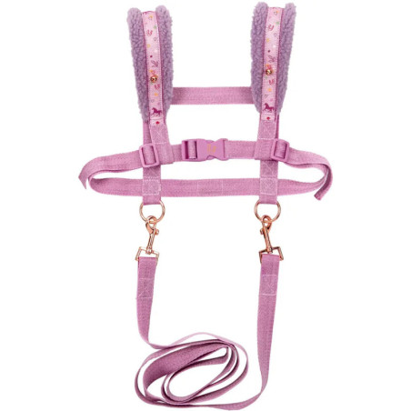 Rosa Geschirr mit gepolsterten Schulterriemen, Leinen, Tiermuster und Metallclips.