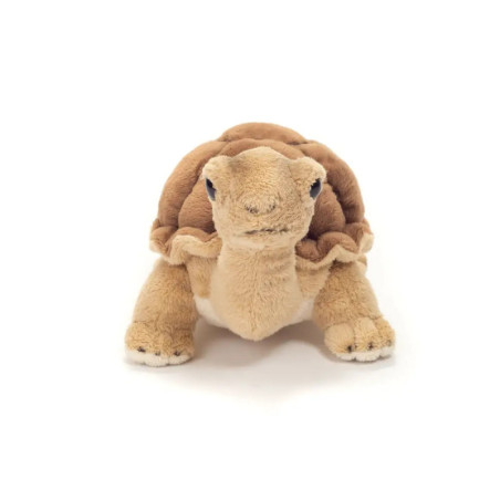 Teddy Hermann Schildkröte, ca. 20cm