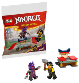 LEGO Ninjago 30675 Turnier-Trainingsgelände