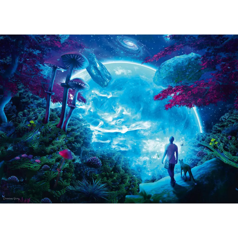 Eine Person und ein Hund stehen auf einer fremden Landschaft und blicken auf einen leuchtenden Planeten im Sternenhimmel. Eine Person und ein Hund stehen auf einer fremden Landschaft und blicken auf einen leuchtenden Planeten im Sternenhimmel.