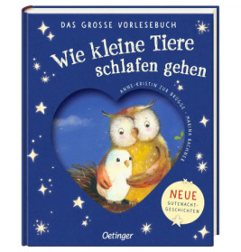 Kinderbuchcover: Zwei Eulen kuscheln in Herzform, umgeben von Sternen und deutschem Text.