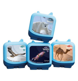 Vier blaue Würfel mit Tiermotiven zeigen auf ihren Vorderseiten Eisbär, Adler, Tintenfisch und Kamel.