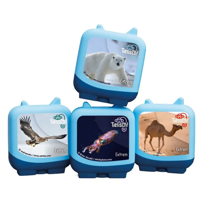 Vier blaue Würfel mit Tiermotiven zeigen auf ihren Vorderseiten Eisbär, Adler, Tintenfisch und Kamel.