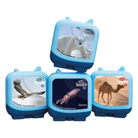 Vier blaue Würfel mit Tiermotiven zeigen auf ihren Vorderseiten Eisbär, Adler, Tintenfisch und Kamel.