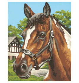 Malen nach Zahlen - Pferdeportrait